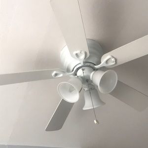 Meet your Posher, Irene